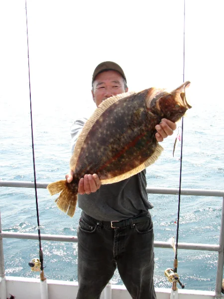 Article 'The Great Fluke Migration'