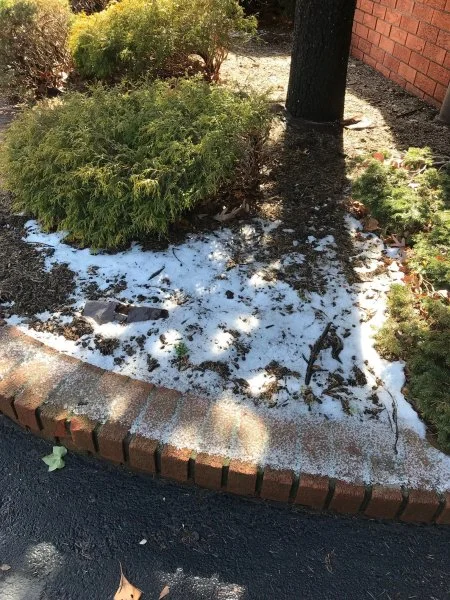 0001snow.webp