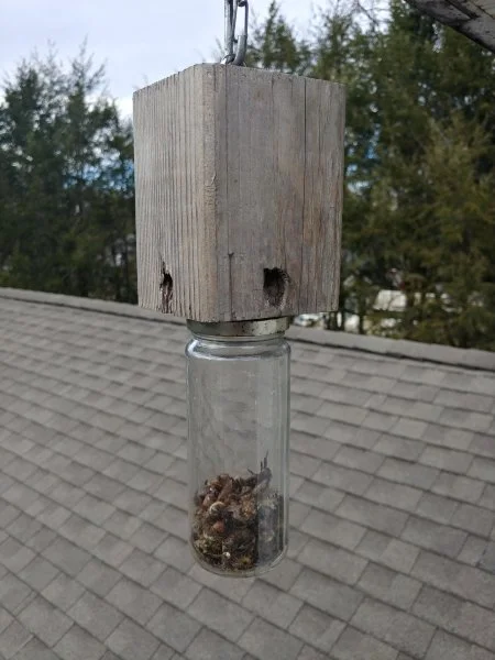 0108211401_HDR.webp