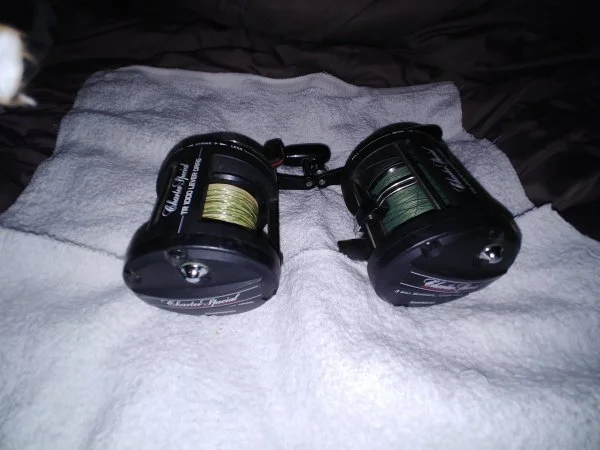 0222211128c.webp