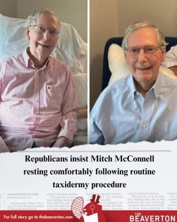 02_mitch_mcconnell_taxidermy_pl_2a7214e245d27d15dda9de59718812cba12b9776.webp