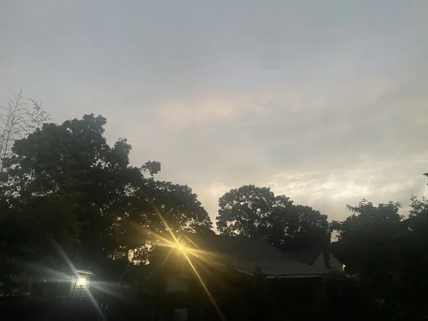 05053D37-1C33-4BA4-AD74-575F04AFF098.webp