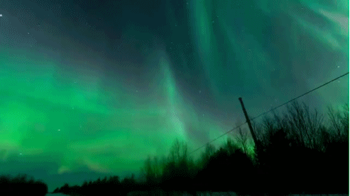 07E6E218-A806-4CC6-BBC9-7ED26E6AE0AC.gif