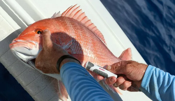 Smith’s Patent Pending 7.25-Inch De-Hooker with Venting Tool Introduced At ICAST 2024