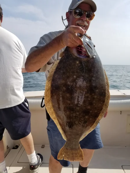 10#fluke817 (2).webp