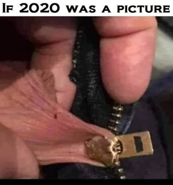 101137780_10220969094594193_7535665342266212352_n.jpg.afb9de8d237142d57d5808d2f084d415.webp