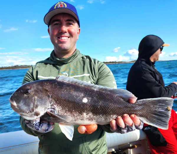 102425nicktogjpg.webp 102425nicktogjpg.webp