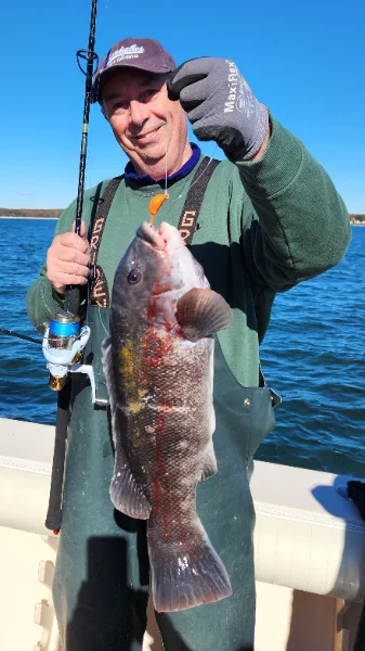 102525saltog.webp 102525saltog.webp