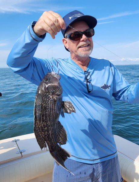 10424daveseabass.jpg