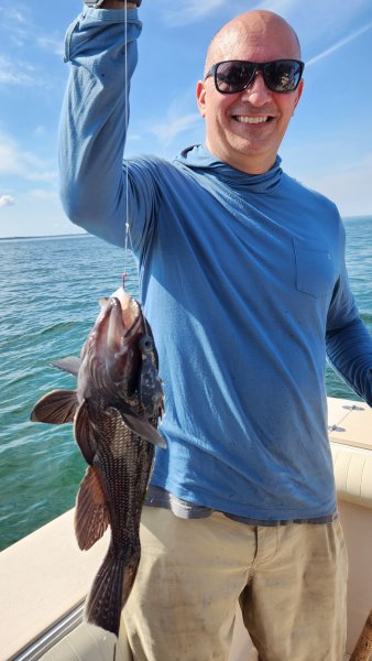 10424ralphseabass.jpg