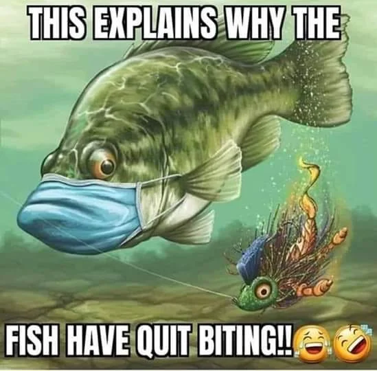 106194384_299906961189037_5017051898752080603_n.webp