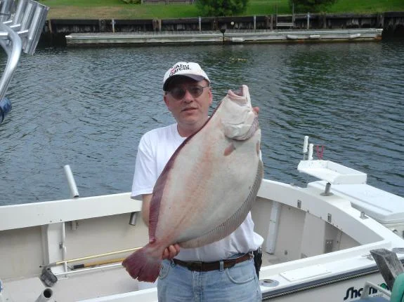 11.2 Fluke 2006.jpg