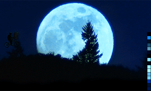 1152EF87-3EF4-46A7-BFEB-1CBF3C53A12A.gif