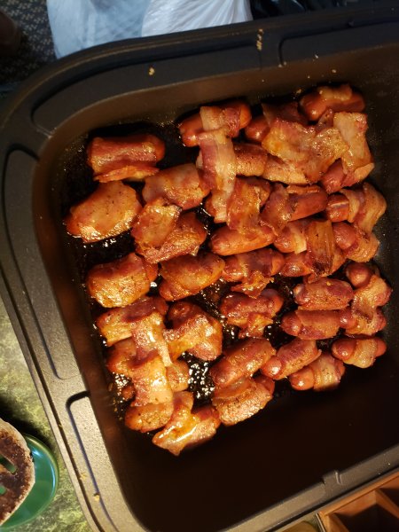 11pigs2.jpg