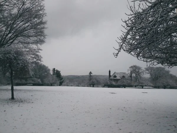 121119 snow.webp