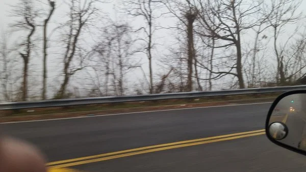 1212fog.webp