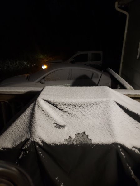 1221snow.jpg