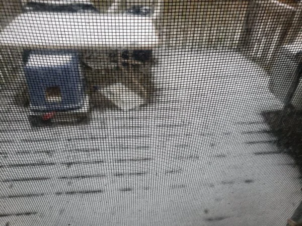 1224snow.webp