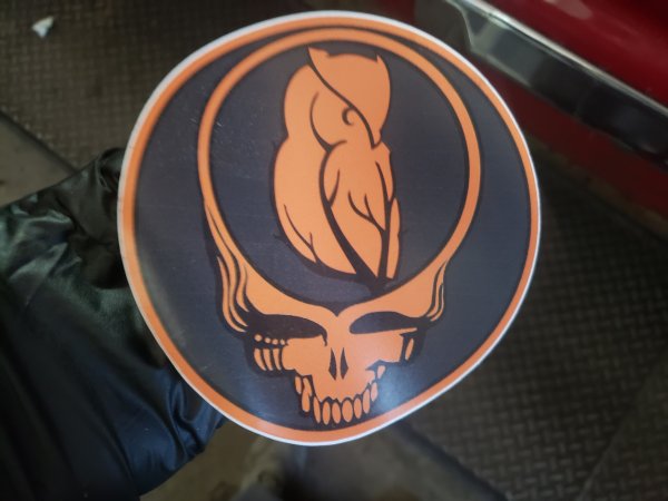 1228skull.jpg