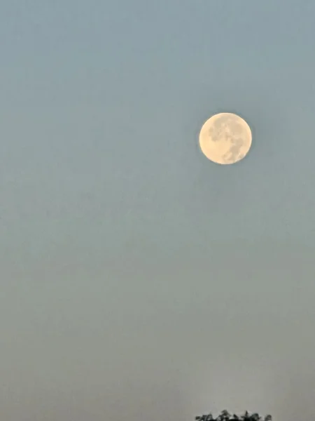12977.webp
