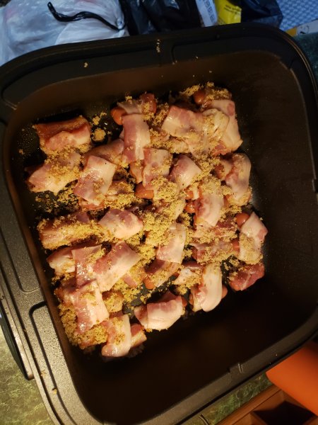 1424pigs.jpg