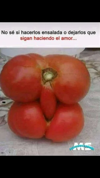 1549672560724.webp