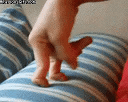 1549748666886.gif