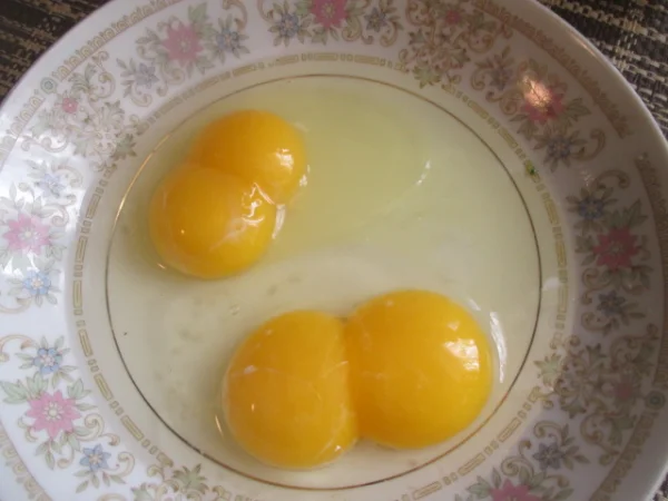 3151