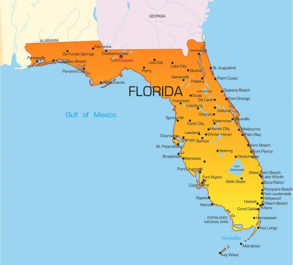 3362