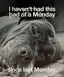 4838
