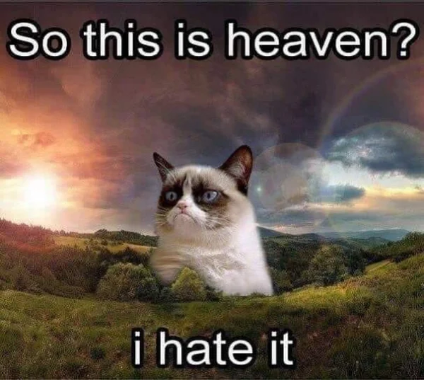 5728