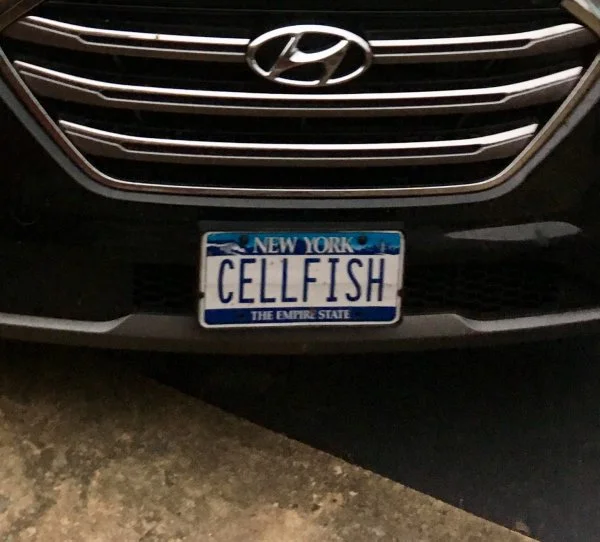 7416