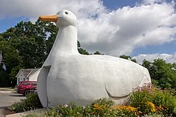 7558
