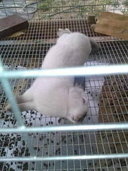 7590