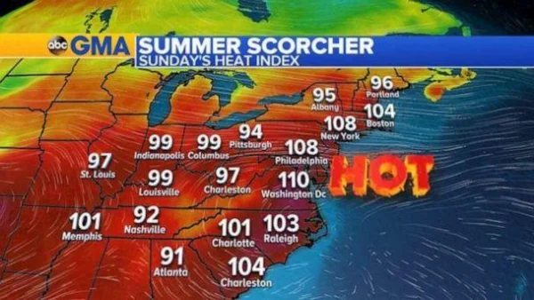 8593