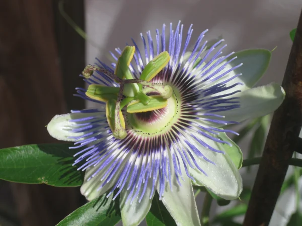 1565374091344.webp
