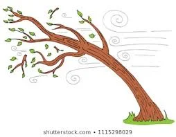 1570662202721.webp