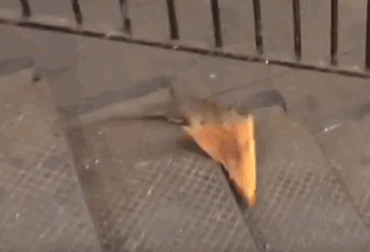 1580005174882.gif