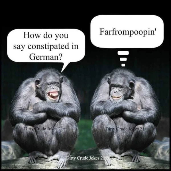 1584217718178.webp