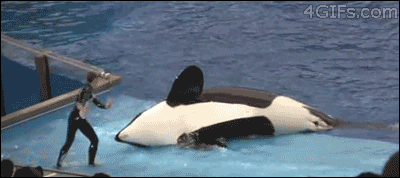1590710851199.gif