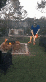 1591149773687.gif