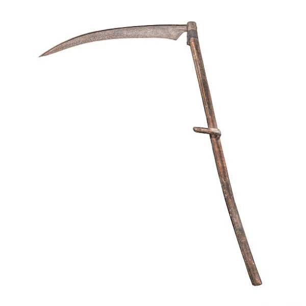 1592596932454.png