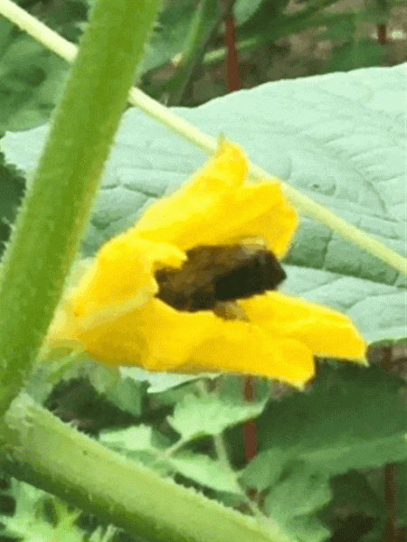 1594343643872.gif