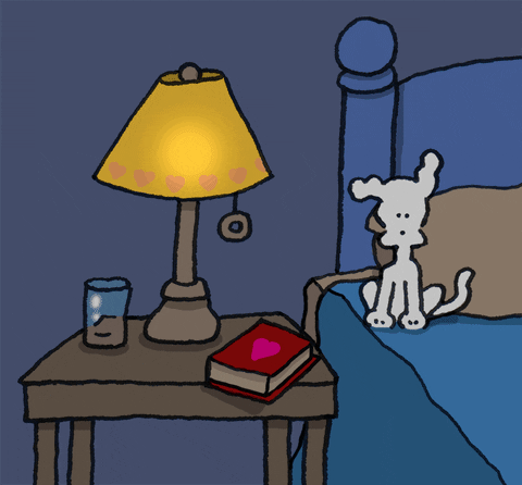 1605751905340.gif