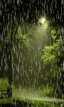 1607188989542.gif