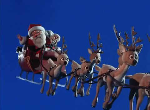 1608778833231.gif