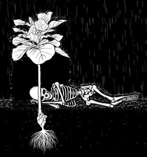 1609550867298.gif