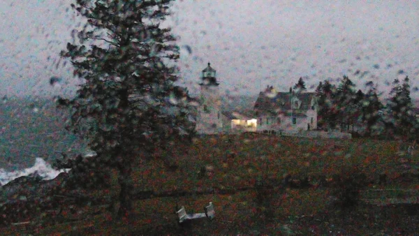 1609588297253.webp