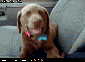 1609982462055.gif