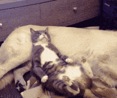 1610074837529.gif